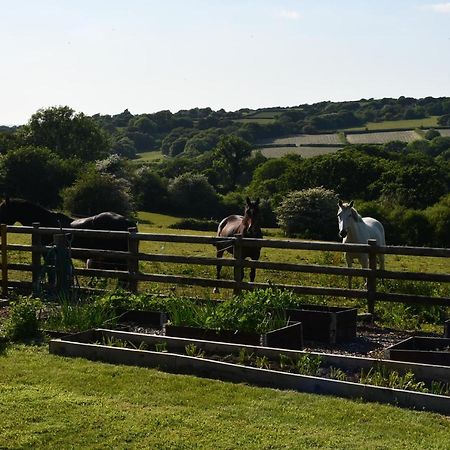 Moorland Breeze Vila Bodmin Exterior foto