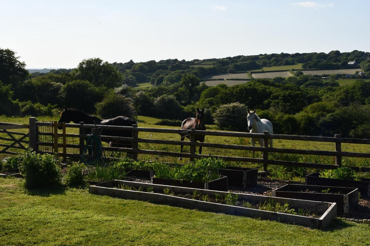 Moorland Breeze Vila Bodmin Exterior foto